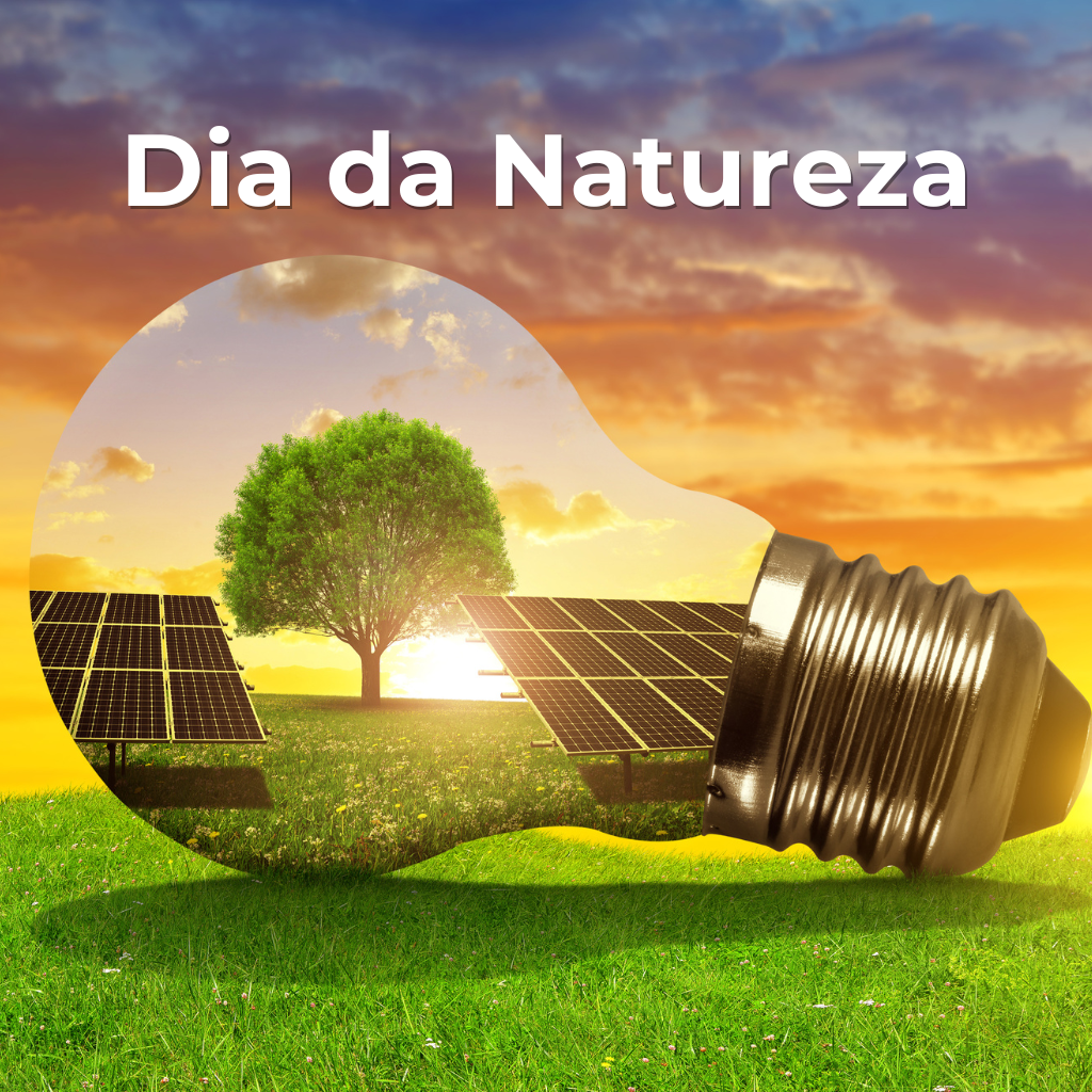 Dia da Natureza e as Lâpadas de LED sustentáveis